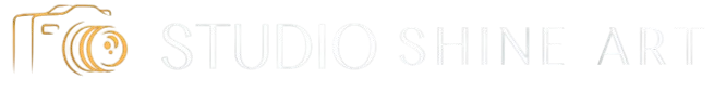 Studio Shine Art logo